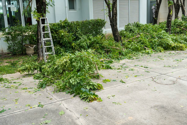 Best Seasonal Cleanup (Spring/Fall)  in Berwyn, PA