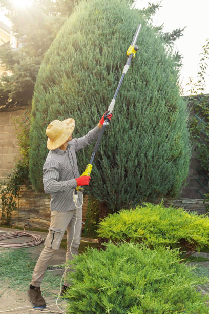 Best Lawn Maintenance Plans  in Berwyn, PA